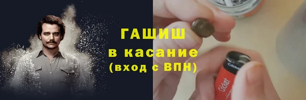 индика Нягань
